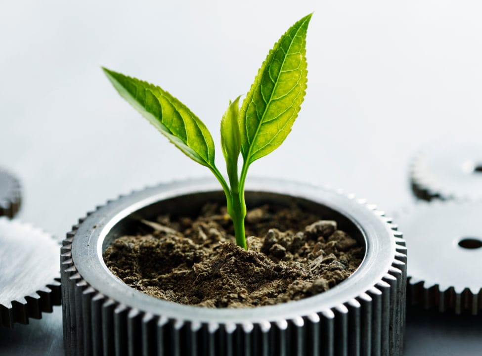 modern-plant