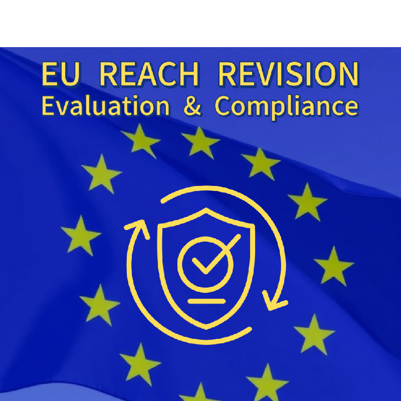 REACH Revision: Proposed Changes to Evaluation & Compliance| H2 Compliance